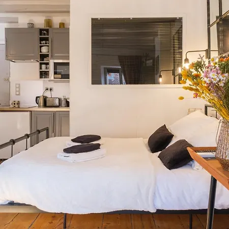 Au Grey D'annecy, Cosy Au Coeur De La Apartment