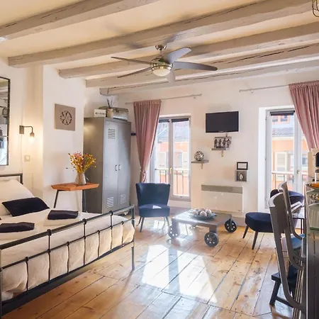 Au Grey D'annecy, Cosy Au Coeur De La Апартаменты *